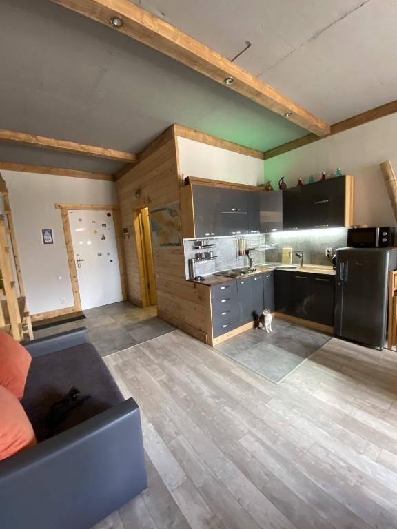 Гудаури: Studio 205 Gudauri