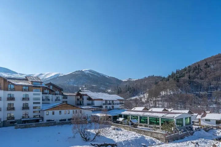 Бакуриани: Snow Pine Suite 4 Star Resort