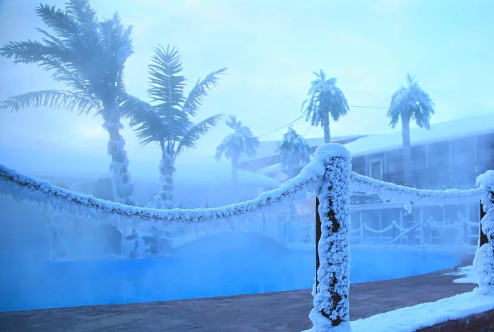 Дубки: Гостиничный комплекс Dolphin Planet Hotel & SPA