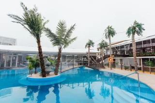 Дубки: Гостиничный комплекс Dolphin Planet Hotel & SPA