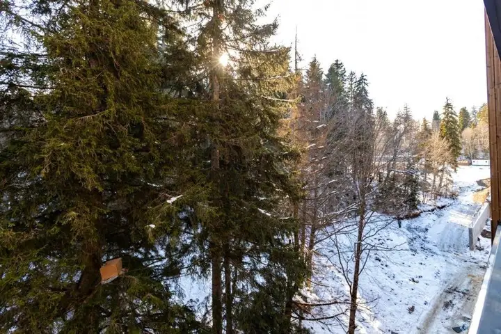 Stylish Ski In Ski Out 1Br Hotel Apt. Near Rooms Hotel In The Hills Of Bakuriani — фото 2