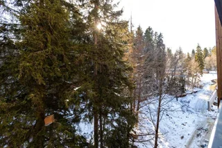 Бакуриани: Stylish Ski In Ski Out 1Br Hotel Apt. Near Rooms Hotel In The Hills Of Bakuriani