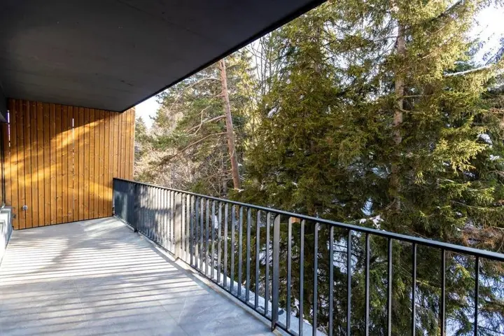 Бакуриани: Stylish Ski In Ski Out 1Br Hotel Apt. Near Rooms Hotel In The Hills Of Bakuriani