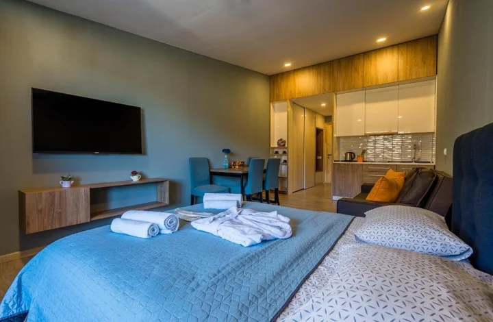 Бакуриани: Valley hotel room 504