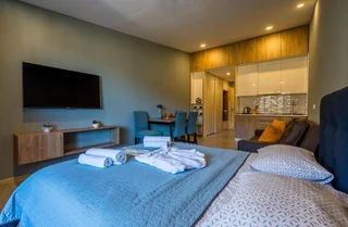 Бакуриани: Valley hotel room 504