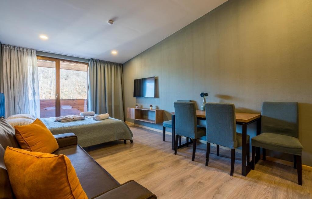 Бакуриани: Valley hotel room 504
