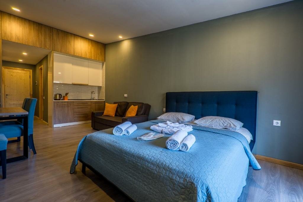 Бакуриани: Valley hotel room 504
