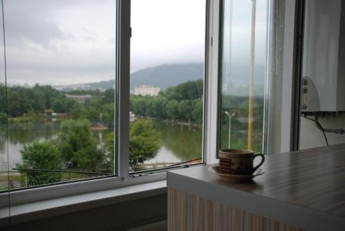Пятигорск: Apartment Svoi