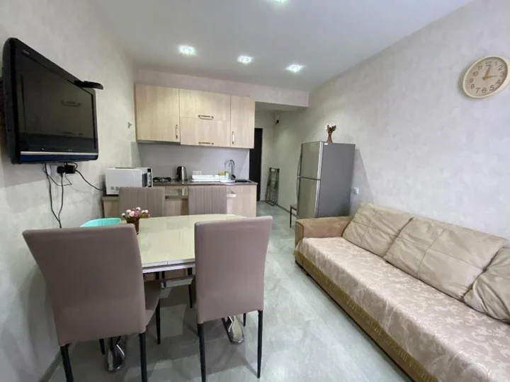 Бакуриани: Didveli Residence E43