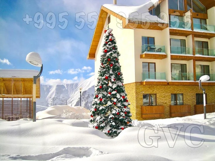 Гудаури: Gvc 510 New Gudauri