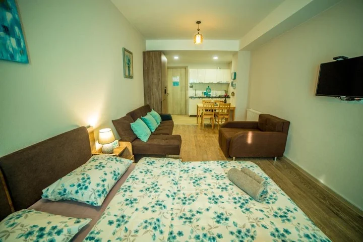 Бакуриани: Bakuriani Plaza A 208