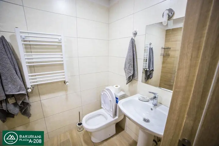 Бакуриани: Bakuriani Plaza A 208