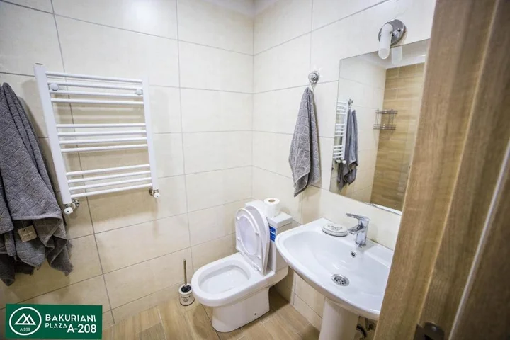 Бакуриани: Bakuriani Plaza A 208