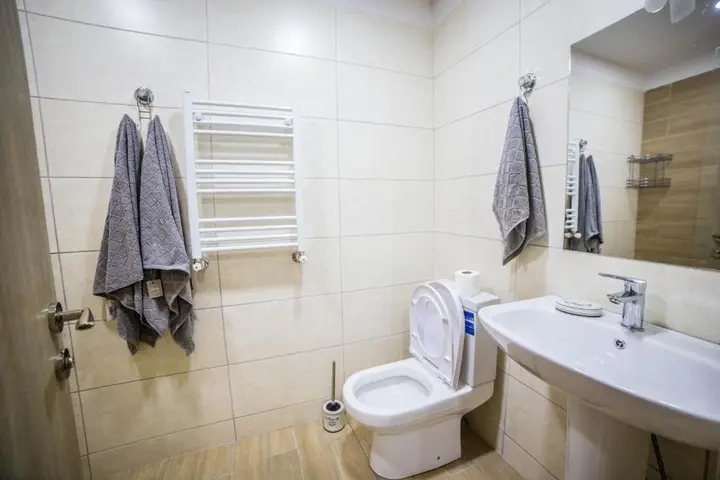 Бакуриани: Bakuriani Plaza A 208