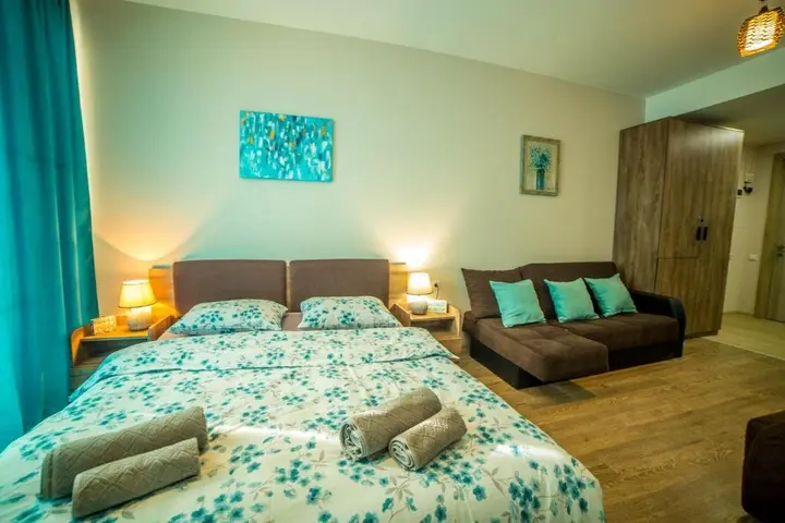Бакуриани: Bakuriani Plaza A 208