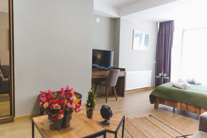 Бакуриани: Cosy Studio B-309 in the Hotel Didveli Gallery