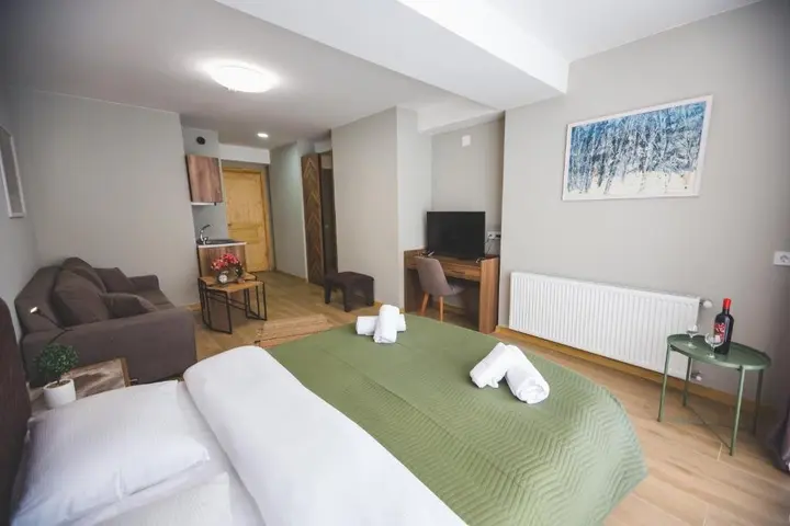 Бакуриани: Cosy Studio B-309 in the Hotel Didveli Gallery