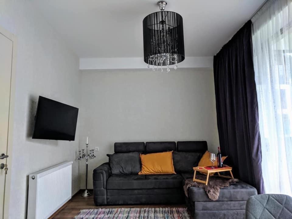 Бакуриани: Didveli Residence D42
