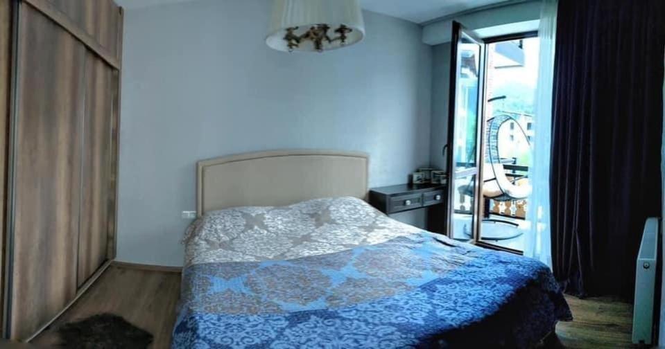 Бакуриани: Didveli Residence D42