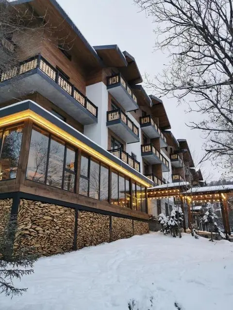 Бакуриани: Didveli Residence D42