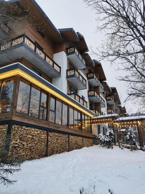Бакуриани: Didveli Residence D42