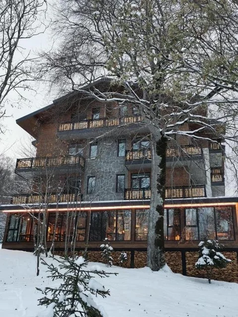 Бакуриани: Didveli Residence D42