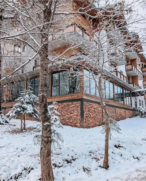 Бакуриани: Didveli Residence D42