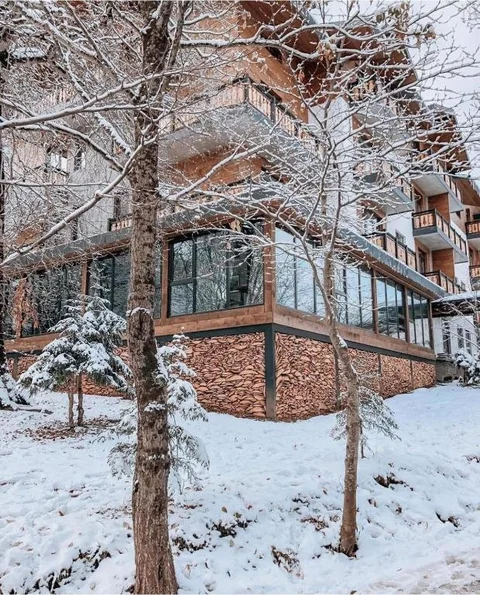 Бакуриани: Didveli Residence D42