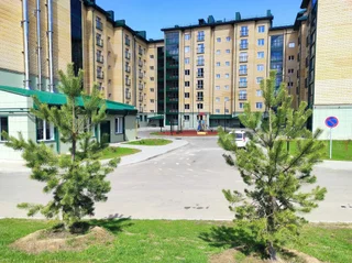 Завидово: Квартира Уютная для активного зимнего отдыха с поздним заездом