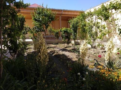 Бухара: Hotel Apartments Silk Road