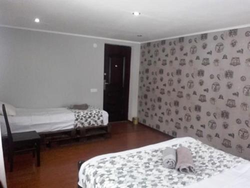 shako mushkudiani guest house — фото 1