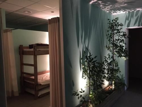 Красноярск: Hostel On Zheleznyaka 2g