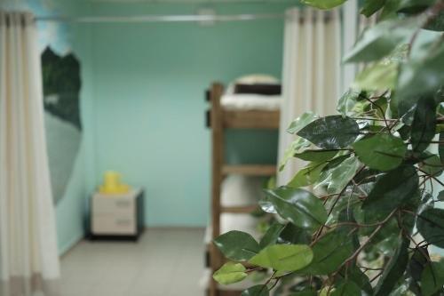 Красноярск: Hostel On Zheleznyaka 2g