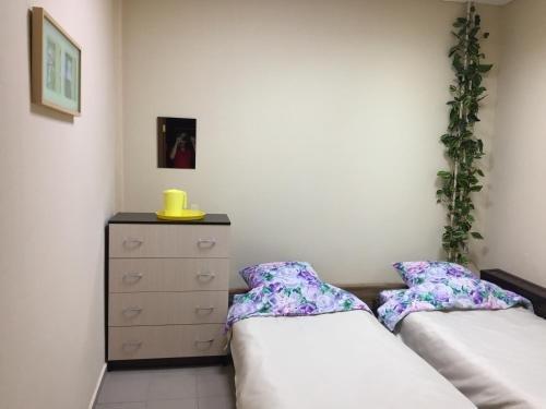 Красноярск: Hostel On Zheleznyaka 2g