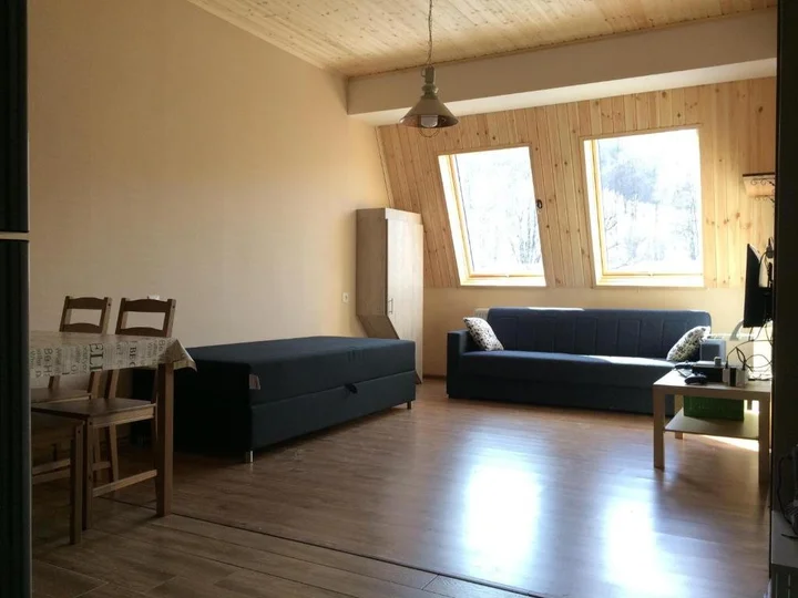 Бакурианский Андезит: Room N201 At Bakuriani