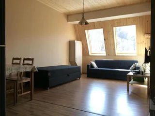 Бакурианский Андезит: Room N201 At Bakuriani