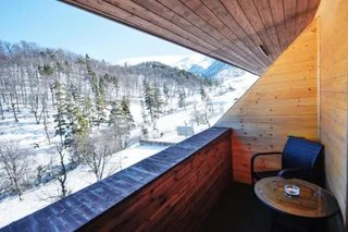 Бакуриани: Residence Studio Bakuriani The Valley Resort