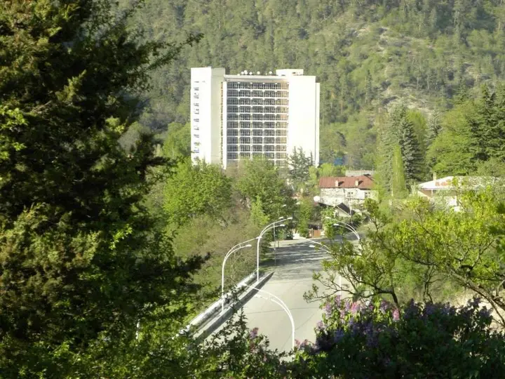 Rustaveli 107 Borjomi Georgia — фото 5