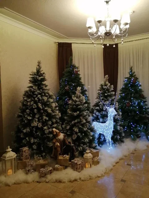Ростов Великий: Отель BRAVIS