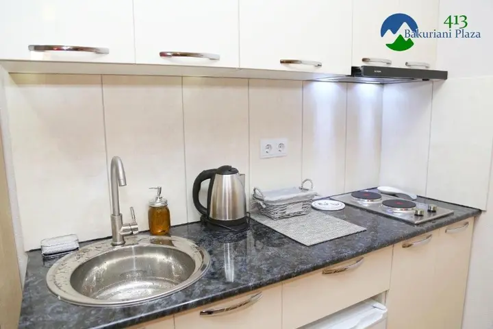Бакуриани: Bakuriani Plaza B413