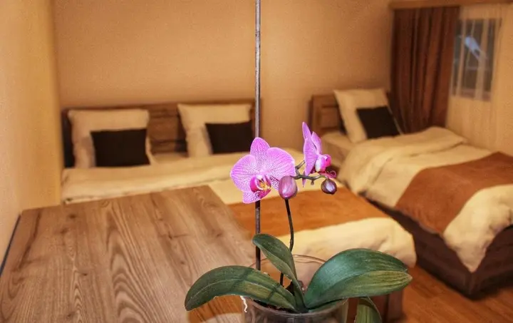 Степанцминда: Rooms 3