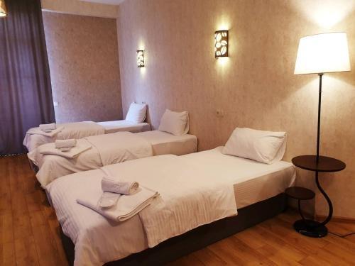 Зестафони: Black Sea hotel