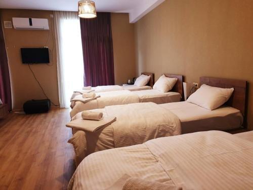 Зестафони: Black Sea hotel