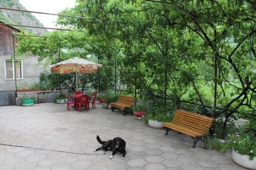 Боржоми: Guest House Mzia
