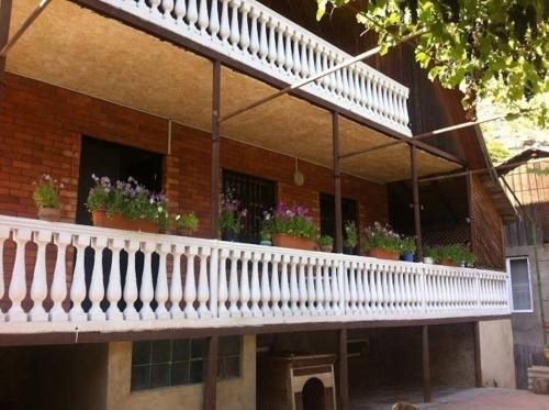 Боржоми: Guest House Mzia