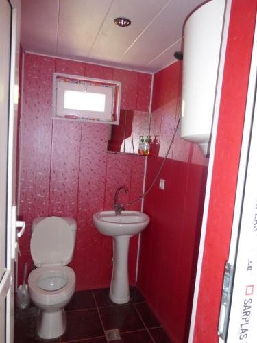 Ушгули: Guesthouse Ushguli Maspindzeli