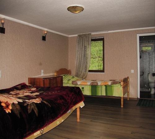 Ушгули: Guesthouse Ushguli Maspindzeli