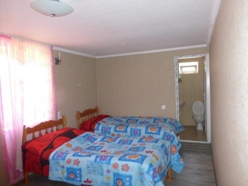 Ушгули: Guesthouse Ushguli Maspindzeli