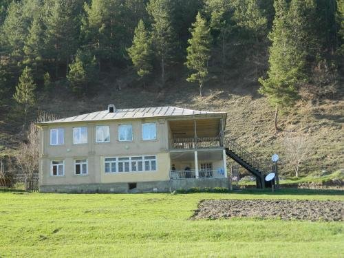 Местиа: alex house