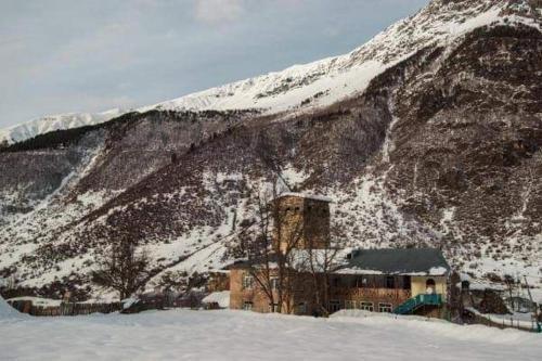 Местиа: Guest House Plus